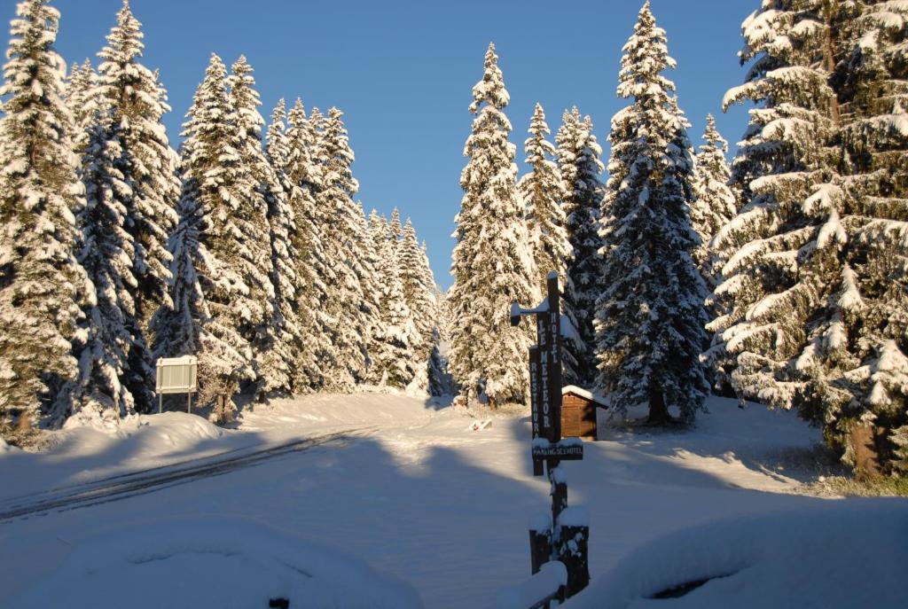 Hôtel Chalet Le Caribou Les Saisies Extérieur photo